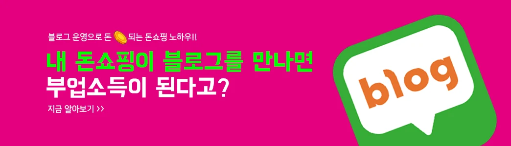 블로그로 돈되는 돈 쇼핑몰