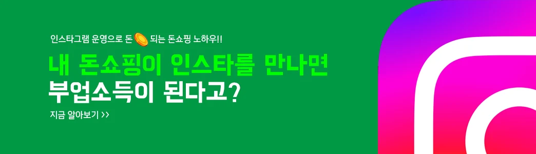 인스타그램으로 돈되는 돈 쇼핑몰