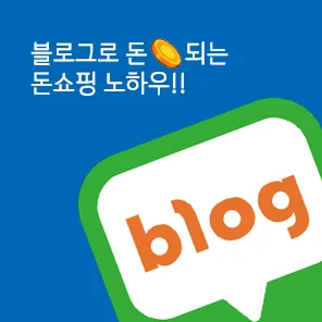 블로그로 돈되는 돈쇼핑 노하우